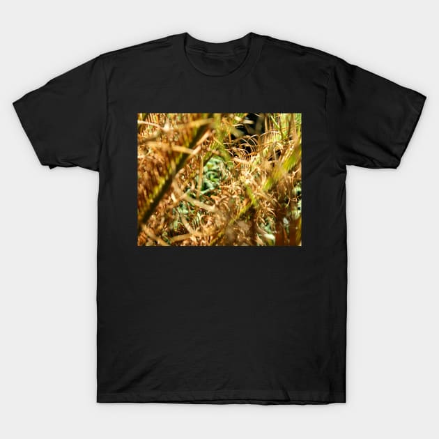 Deep in the Ferns T-Shirt by HFGJewels